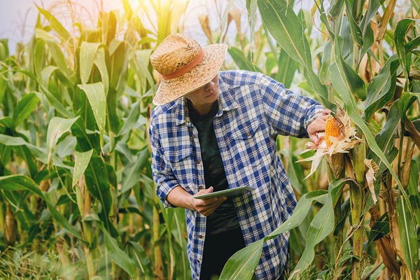 Lire la suite à propos de l’article L Dans le contexte actuel du changement climatique, il est impératif de maîtriser la fertilisation des sols.